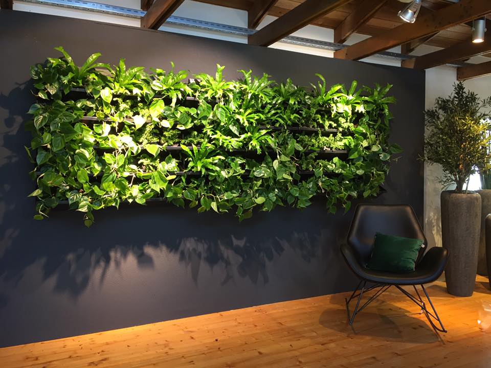Mur végétal intérieur en plantes naturelles