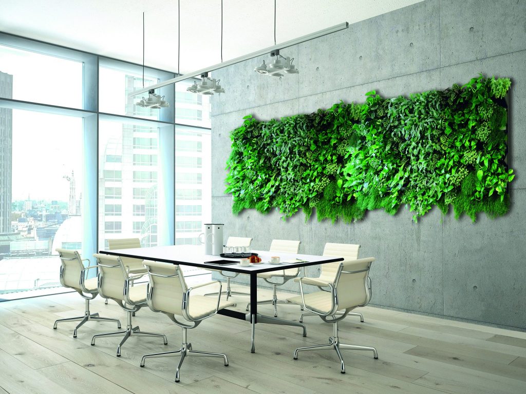 Mur végétal intérieur en plantes naturelles